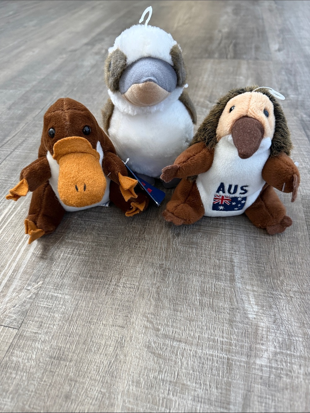 Australiana Collection trio. Platypus Hedgehog and Cucoburro